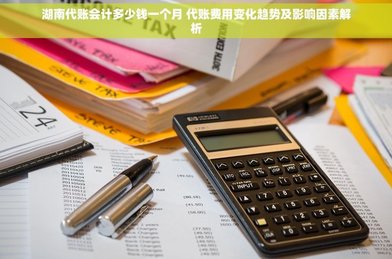湖南代账会计多少钱一个月 代账费用变化趋势及影响因素解析