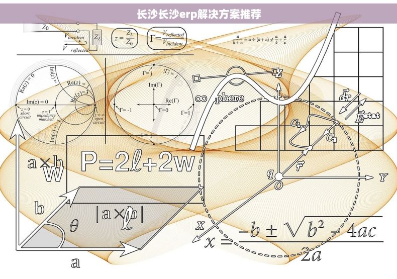 长沙长沙erp解决方案推荐