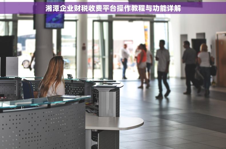 湘潭企业财税收费平台操作教程与功能详解
