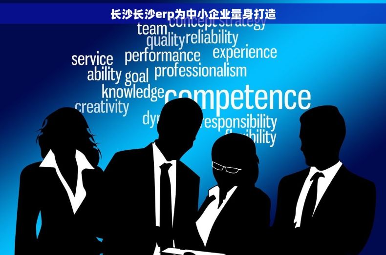 长沙长沙erp为中小企业量身打造