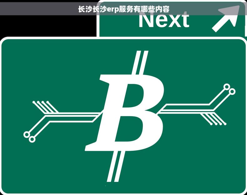 长沙长沙erp服务有哪些内容