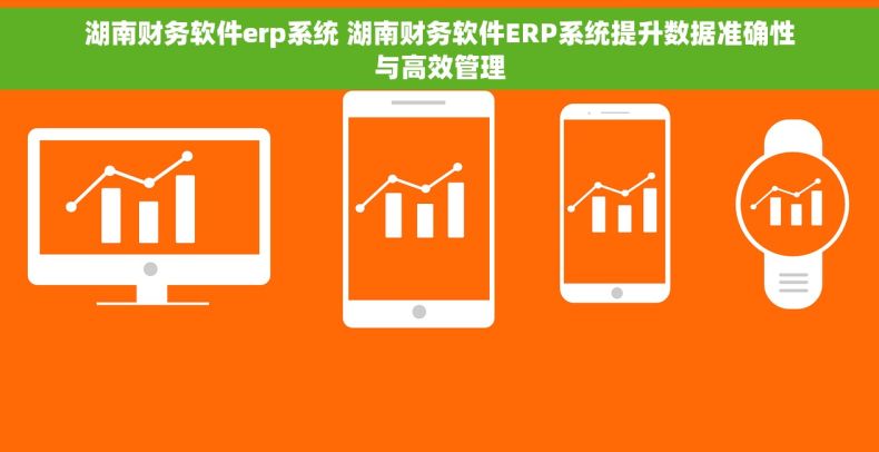 湖南财务软件erp系统 湖南财务软件ERP系统提升数据准确性与高效管理