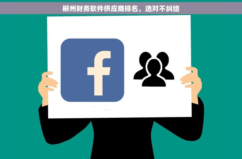 郴州财务软件供应商排名，选对不纠结