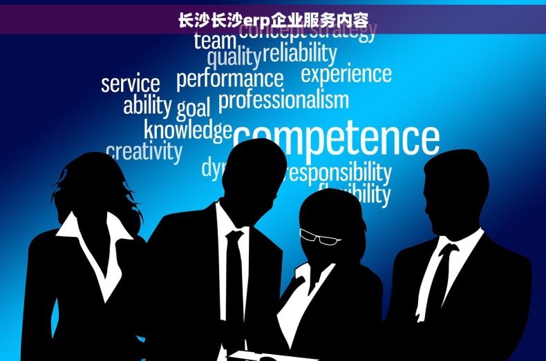 长沙长沙erp企业服务内容