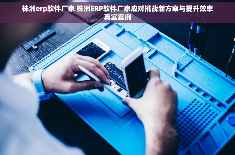 株洲erp软件厂家 株洲ERP软件厂家应对挑战新方案与提升效率真实案例