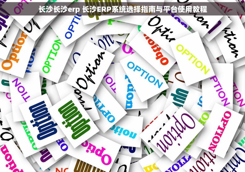 长沙长沙erp 长沙ERP系统选择指南与平台使用教程