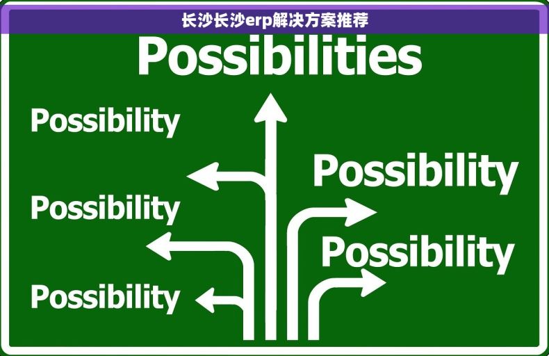 长沙长沙erp解决方案推荐