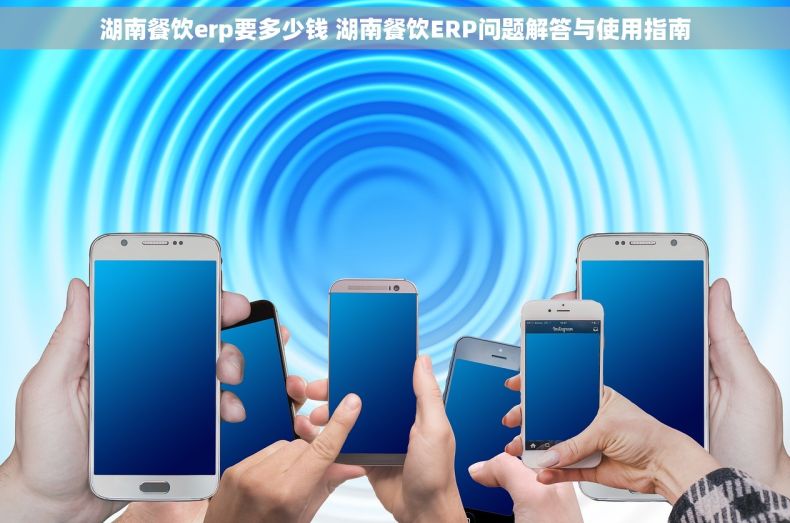 湖南餐饮erp要多少钱 湖南餐饮ERP问题解答与使用指南
