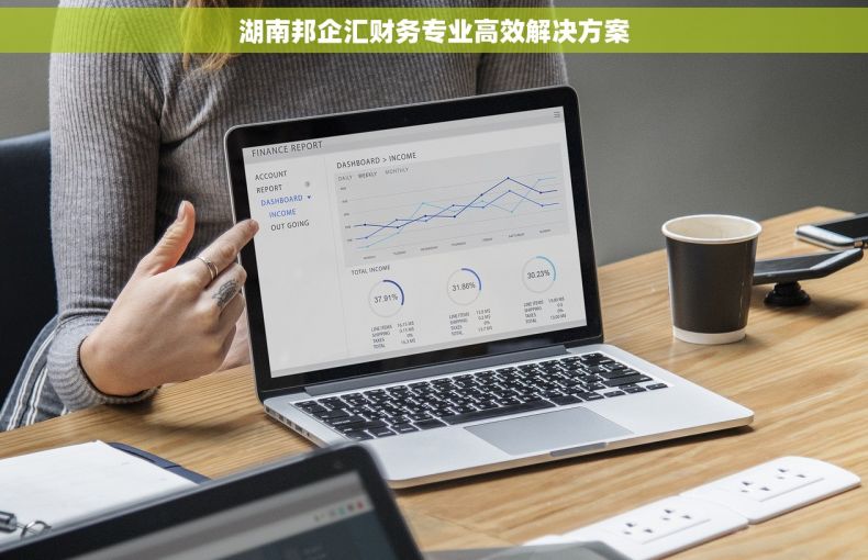 湖南邦企汇财务专业高效解决方案