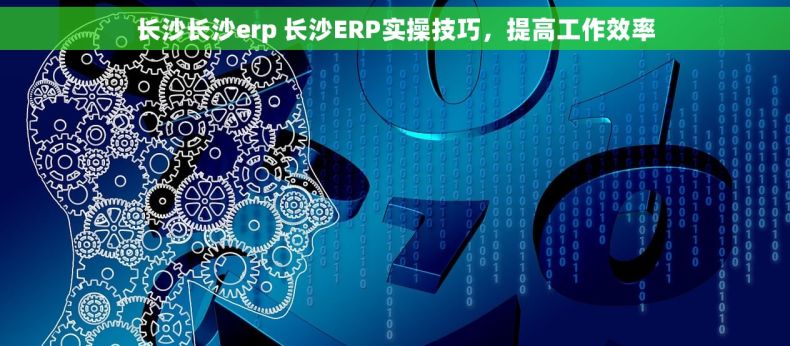 长沙长沙erp 长沙ERP实操技巧，提高工作效率