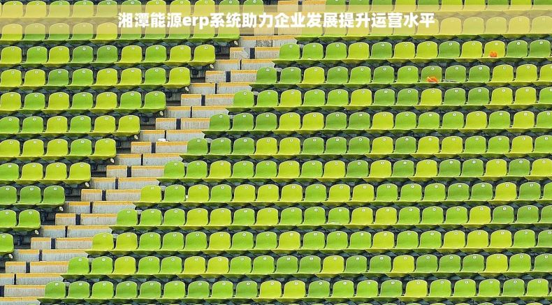 湘潭能源erp系统助力企业发展提升运营水平