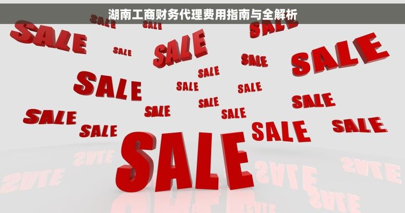 湖南工商财务代理费用指南与全解析