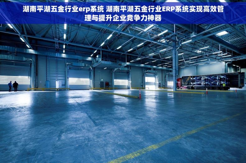 湖南平湖五金行业erp系统 湖南平湖五金行业ERP系统实现高效管理与提升企业竞争力神器