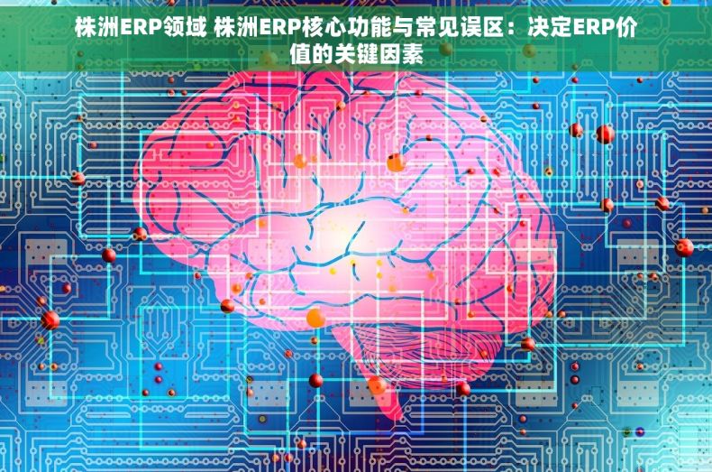 株洲ERP领域 株洲ERP核心功能与常见误区：决定ERP价值的关键因素