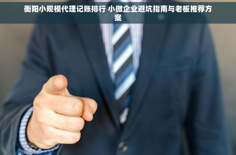 衡阳小规模代理记账排行 小微企业避坑指南与老板推荐方案
