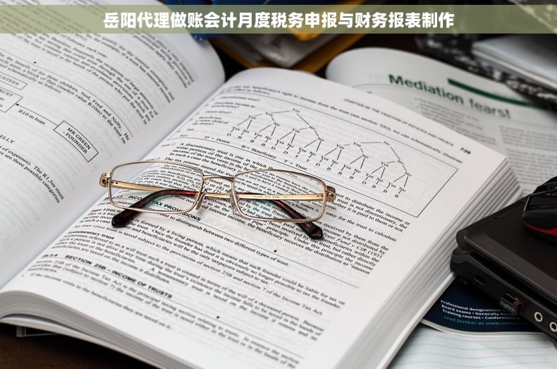 岳阳代理做账会计月度税务申报与财务报表制作