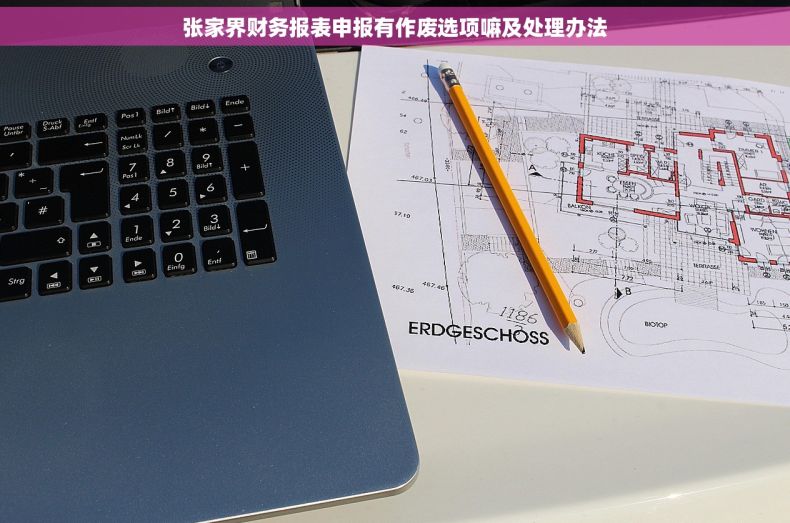 张家界财务报表申报有作废选项嘛及处理办法