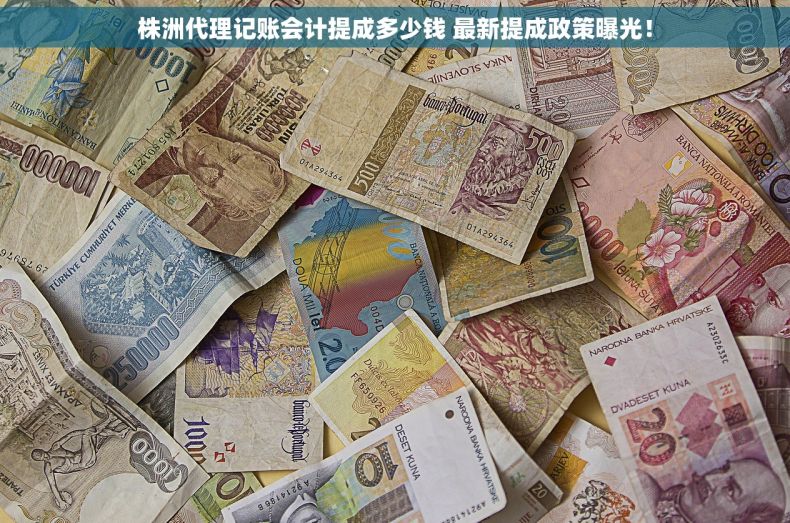 株洲代理记账会计提成多少钱 最新提成政策曝光！