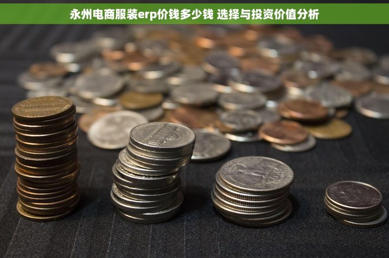 永州电商服装erp价钱多少钱 选择与投资价值分析