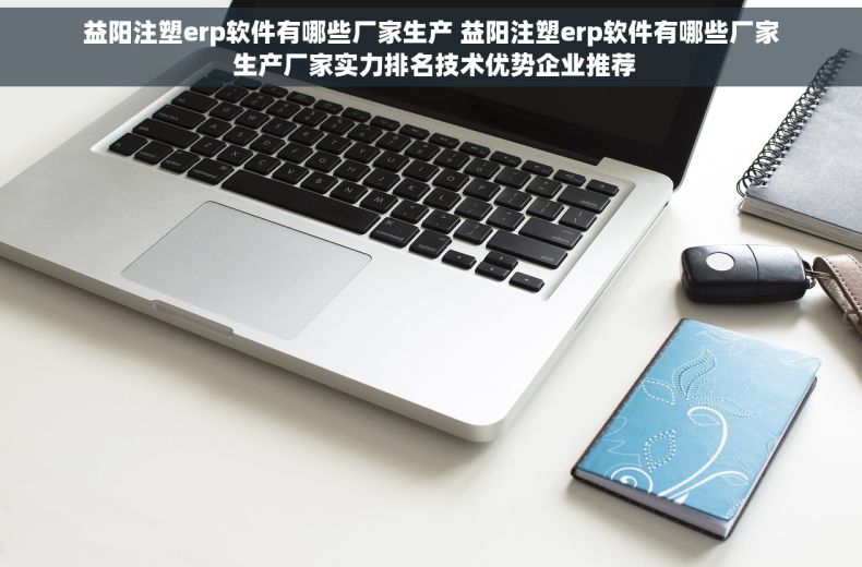 益阳注塑erp软件有哪些厂家生产 益阳注塑erp软件有哪些厂家 生产厂家实力排名技术优势企业推荐