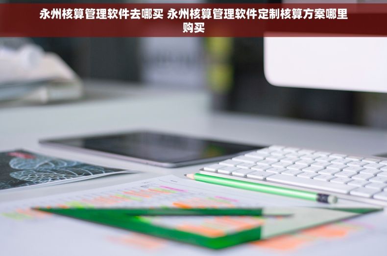 永州核算管理软件去哪买 永州核算管理软件定制核算方案哪里购买