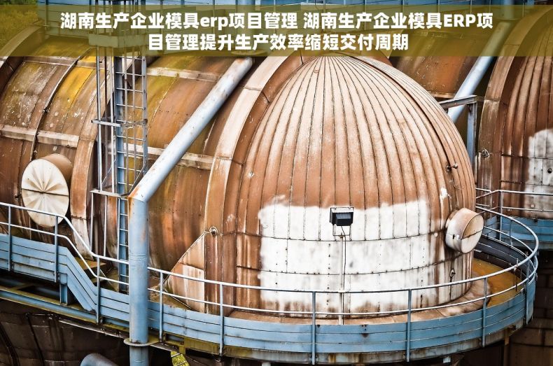 湖南生产企业模具erp项目管理 湖南生产企业模具ERP项目管理提升生产效率缩短交付周期