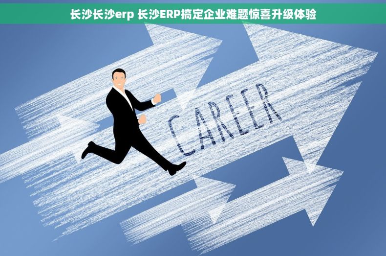 长沙长沙erp 长沙ERP搞定企业难题惊喜升级体验