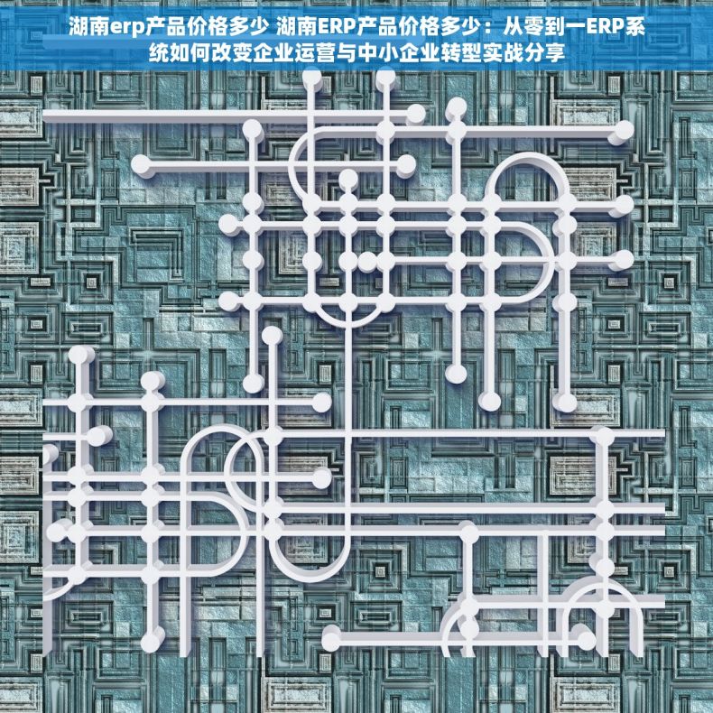 湖南erp产品价格多少 湖南ERP产品价格多少：从零到一ERP系统如何改变企业运营与中小企业转型实战分享
