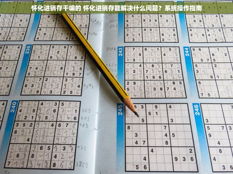怀化进销存干嘛的 怀化进销存能解决什么问题？系统操作指南