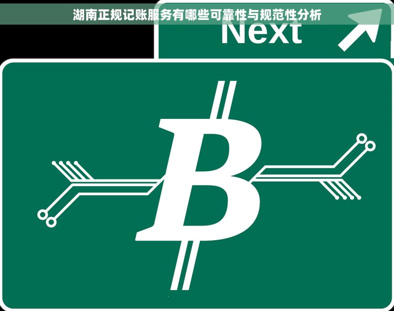 湖南正规记账服务有哪些可靠性与规范性分析