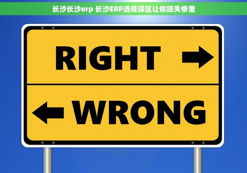 长沙长沙erp 长沙ERP选择误区让你损失惨重