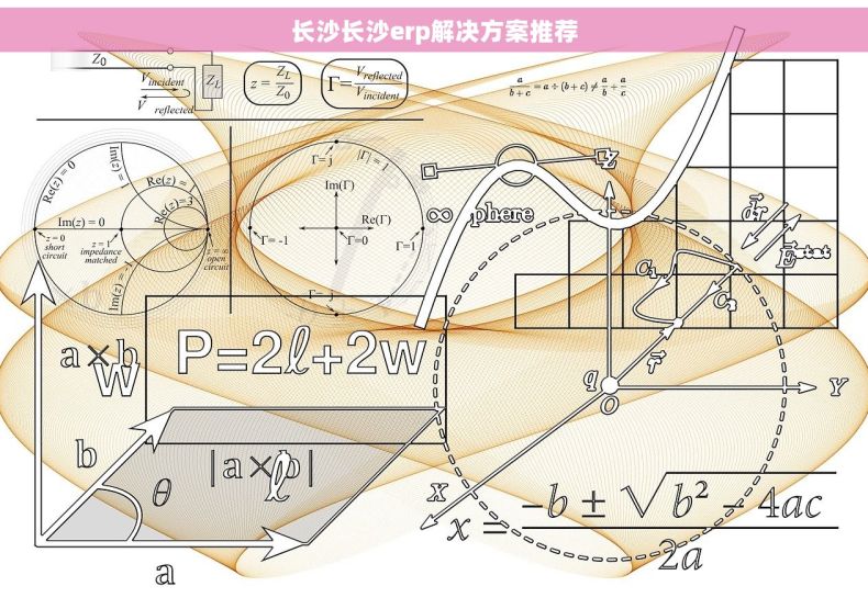 长沙长沙erp解决方案推荐