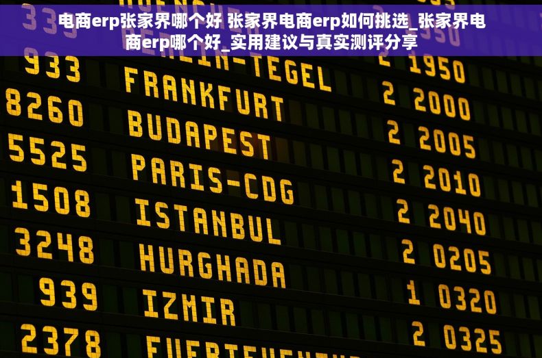 电商erp张家界哪个好 张家界电商erp如何挑选_张家界电商erp哪个好_实用建议与真实测评分享