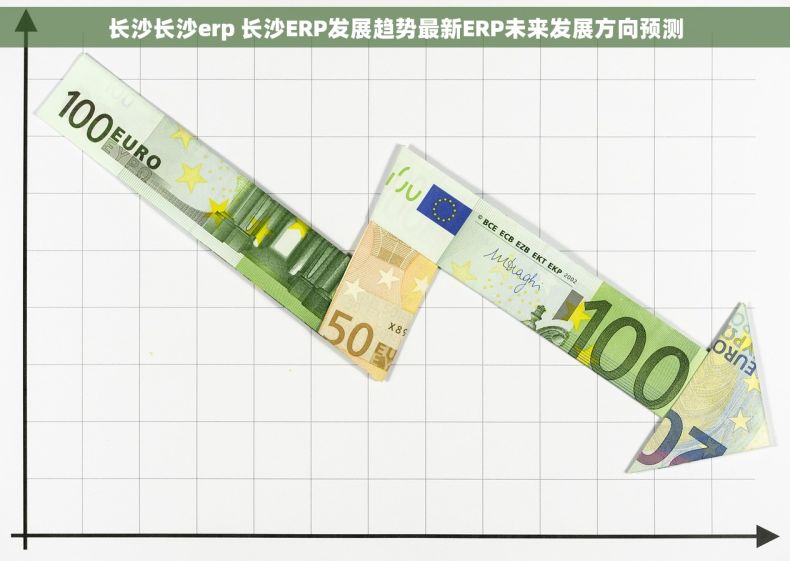 长沙长沙erp 长沙ERP发展趋势最新ERP未来发展方向预测