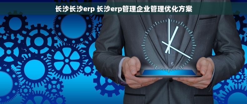长沙长沙erp 长沙erp管理企业管理优化方案