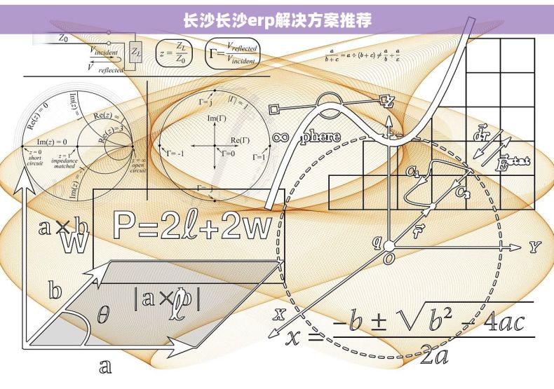 长沙长沙erp解决方案推荐
