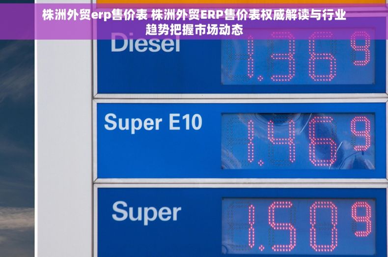 株洲外贸erp售价表 株洲外贸ERP售价表权威解读与行业趋势把握市场动态