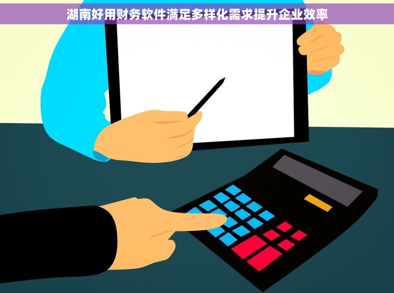 湖南好用财务软件满足多样化需求提升企业效率