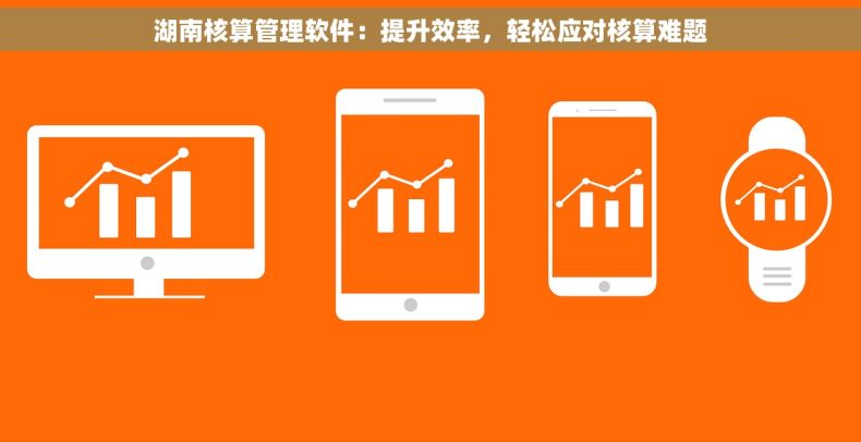 湖南核算管理软件：提升效率，轻松应对核算难题