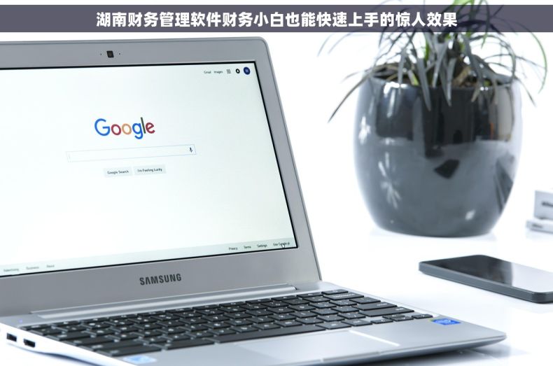 湖南财务管理软件财务小白也能快速上手的惊人效果