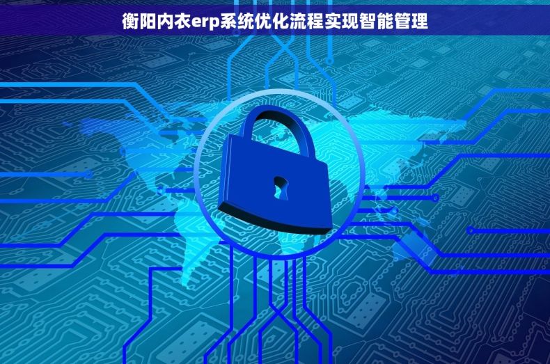 衡阳内衣erp系统优化流程实现智能管理