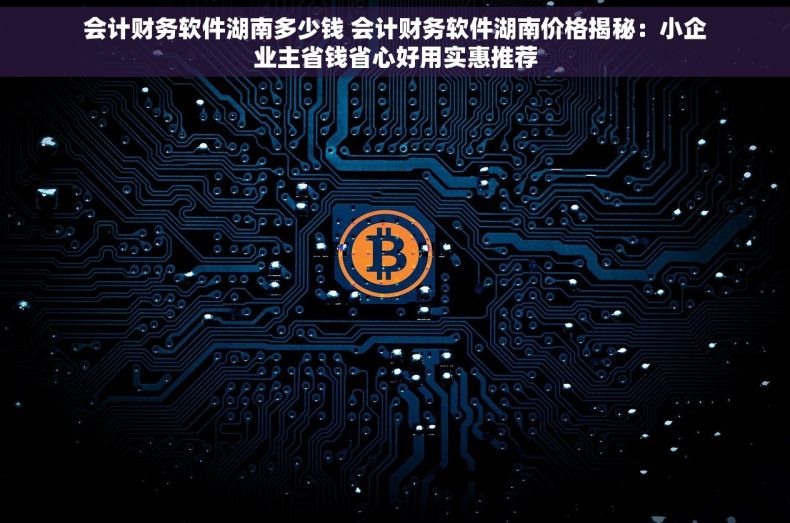 会计财务软件湖南多少钱 会计财务软件湖南价格揭秘：小企业主省钱省心好用实惠推荐