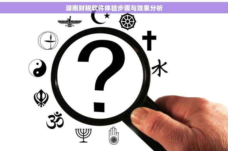 湖南财税软件体验步骤与效果分析