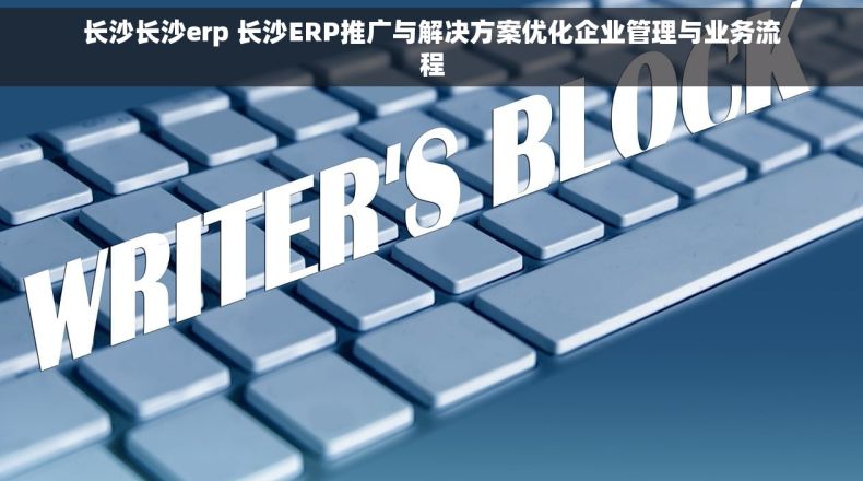 长沙长沙erp 长沙ERP推广与解决方案优化企业管理与业务流程