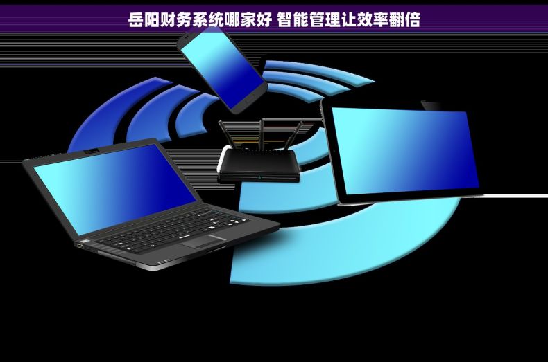 岳阳财务系统哪家好 智能管理让效率翻倍
