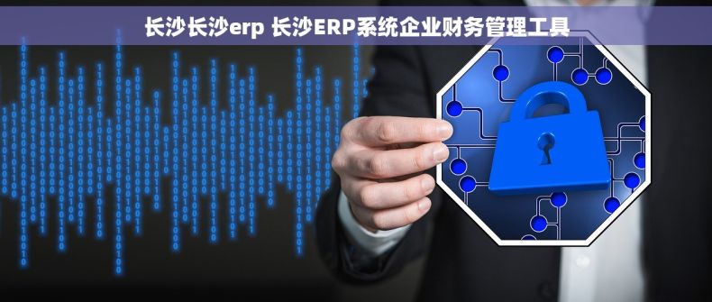 长沙长沙erp 长沙ERP系统企业财务管理工具