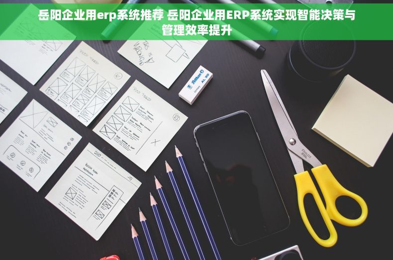 岳阳企业用erp系统推荐 岳阳企业用ERP系统实现智能决策与管理效率提升