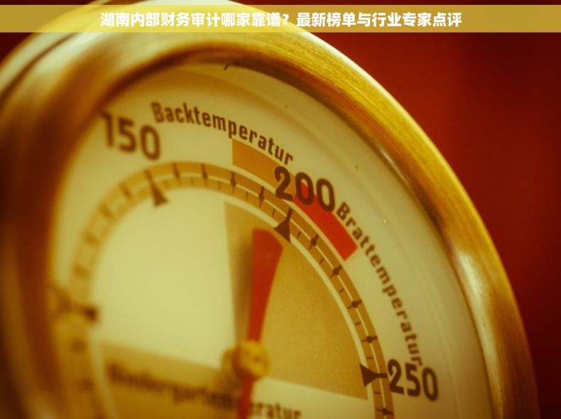 湖南内部财务审计哪家靠谱？最新榜单与行业专家点评