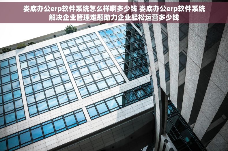 娄底办公erp软件系统怎么样啊多少钱 娄底办公erp软件系统解决企业管理难题助力企业轻松运营多少钱