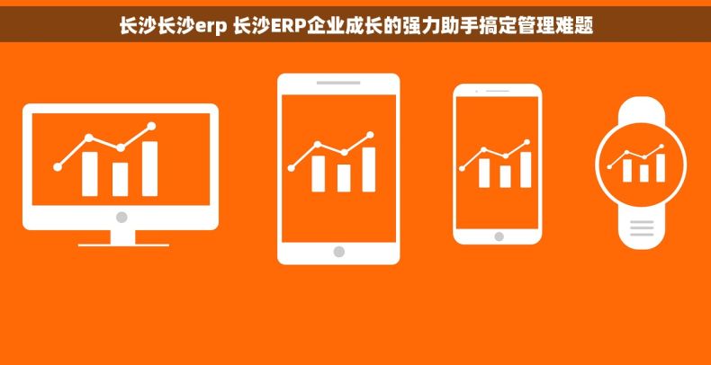 长沙长沙erp 长沙ERP企业成长的强力助手搞定管理难题